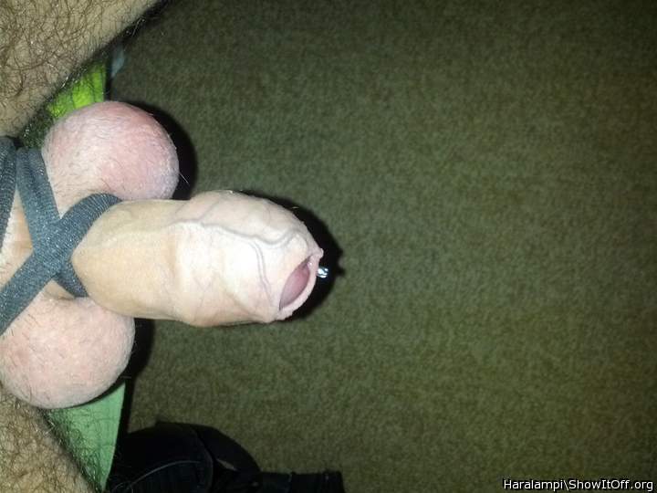 Adult image from Haralampi