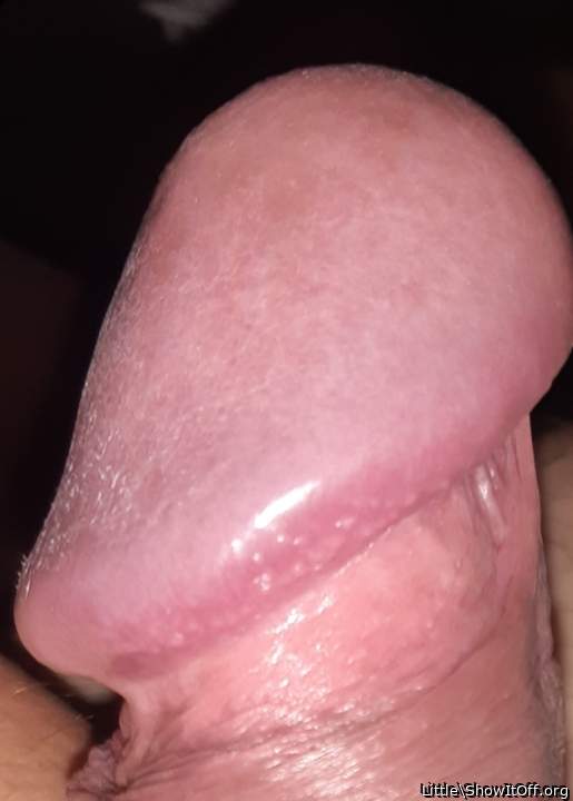 Adult image from Little