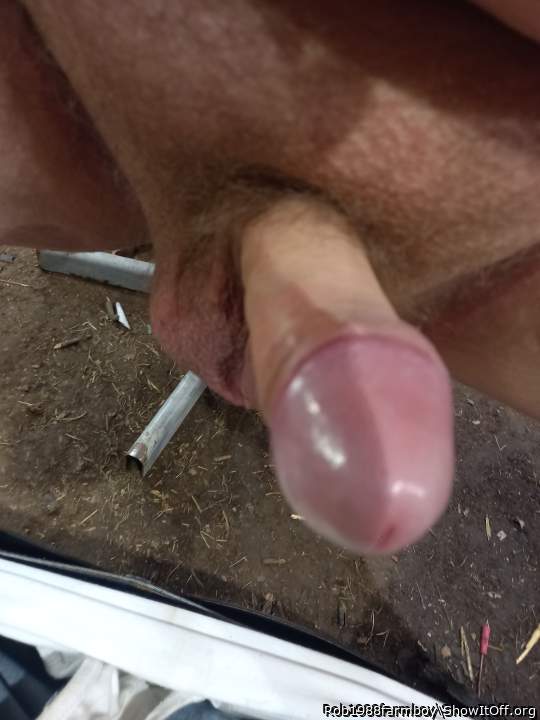 Adult image from Rob1988farmboy