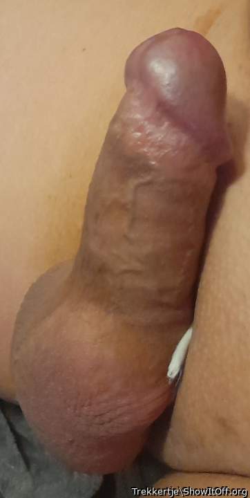 Adult image from Trekkertje