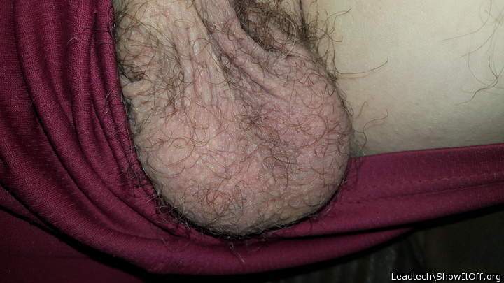 Soooo hairy!! Love the picture❤️❤ᥧ
