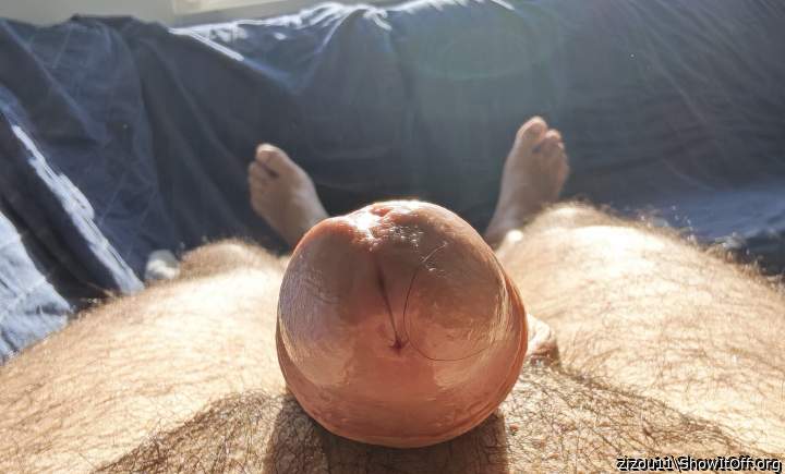 Adult image from zizou11