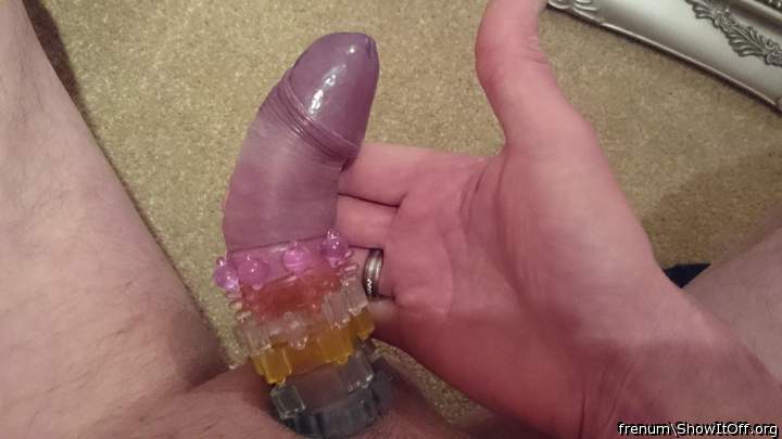 Adult image from Frenum