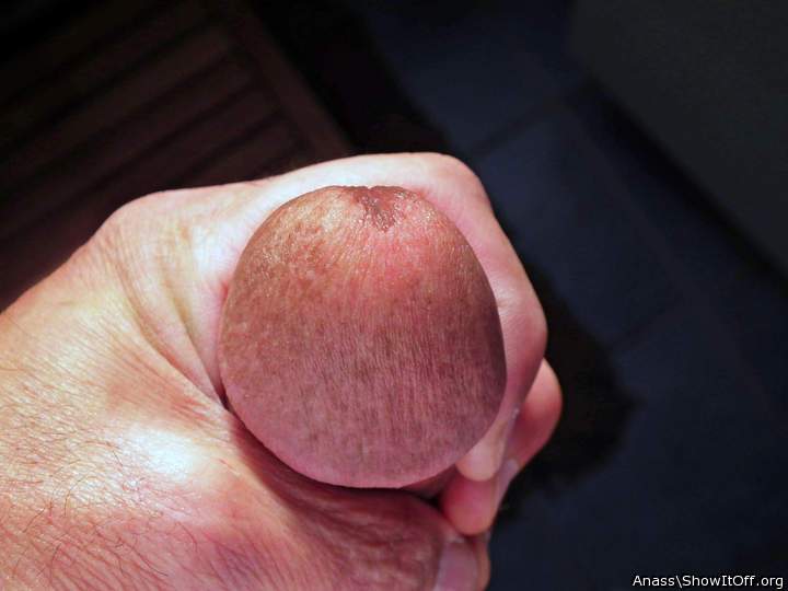 Adult image from Anass