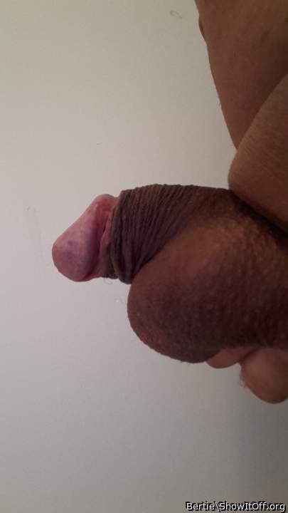 Adult image from Bertie
