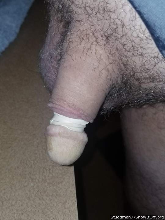 Adult image from Studdman7