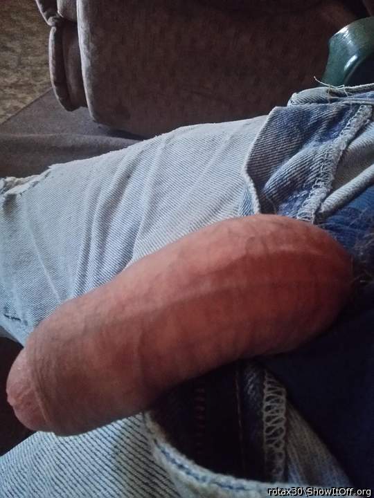 Adult image from rotax30
