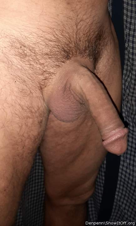Adult image from Denpenn