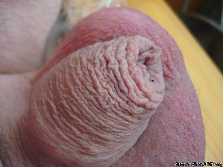 Adult image from dischwa