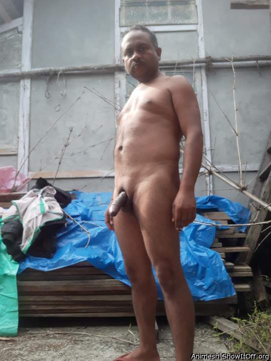 Adult image from Animesh