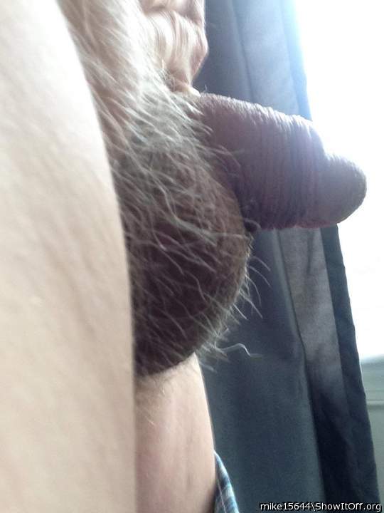 Adult image from mike15644