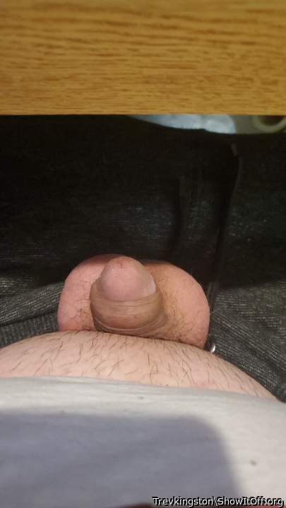 Adult image from Trevkingston
