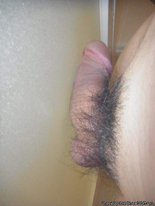 Adult image from shavedpubis
