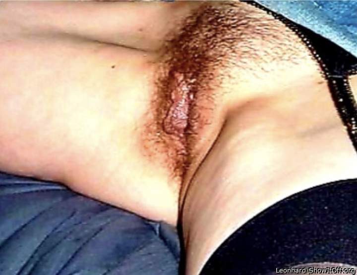 Adult image from Leonhard