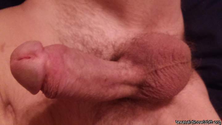 Adult image from texasal