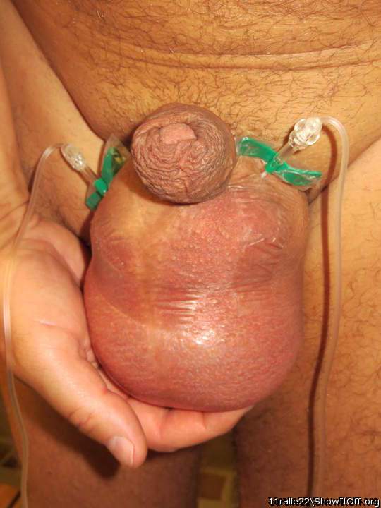 sch�n stramm f�llen so das er dick und fett wird  