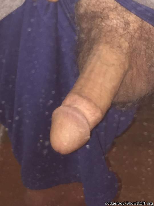 Adult image from dodgerboy