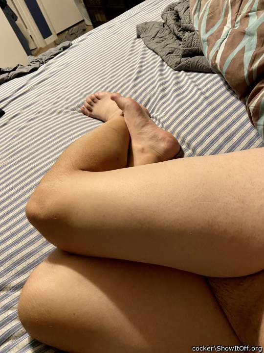 Adult image from cocker