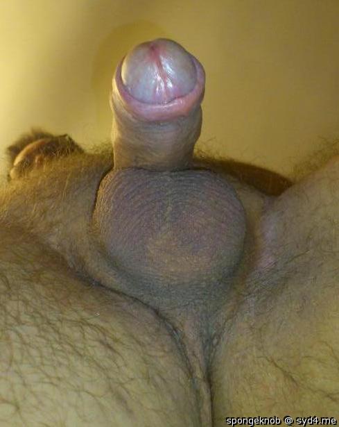 Adult image from spongeknob