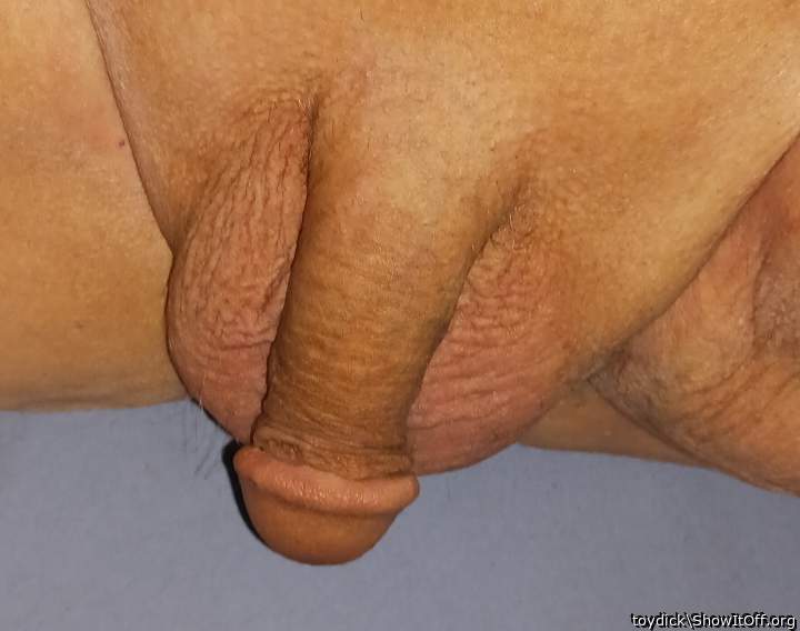 Adult image from toydick