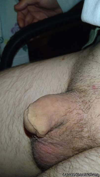 Adult image from Aaccee