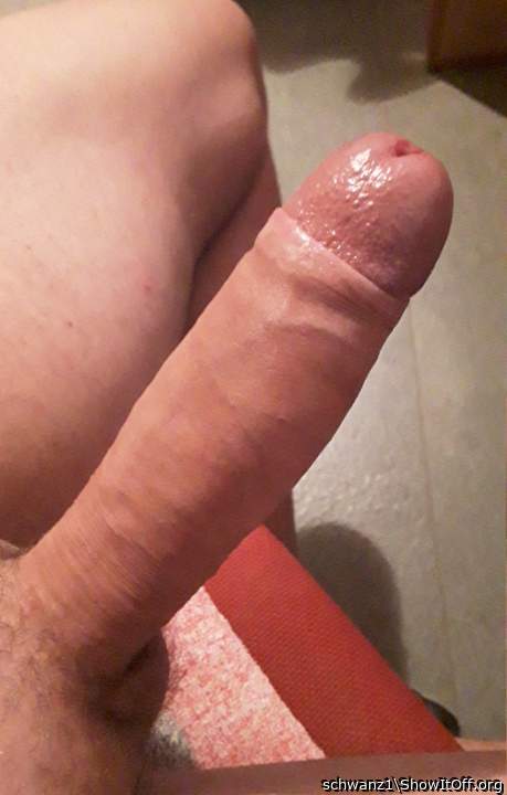 Adult image from schwanz1