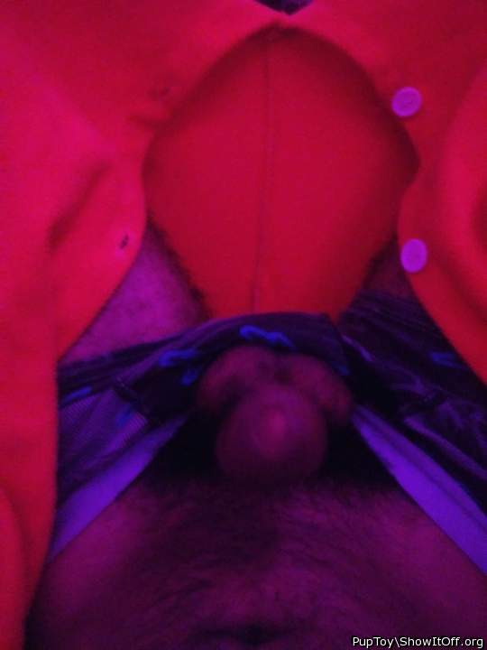 Adult image from PupToy