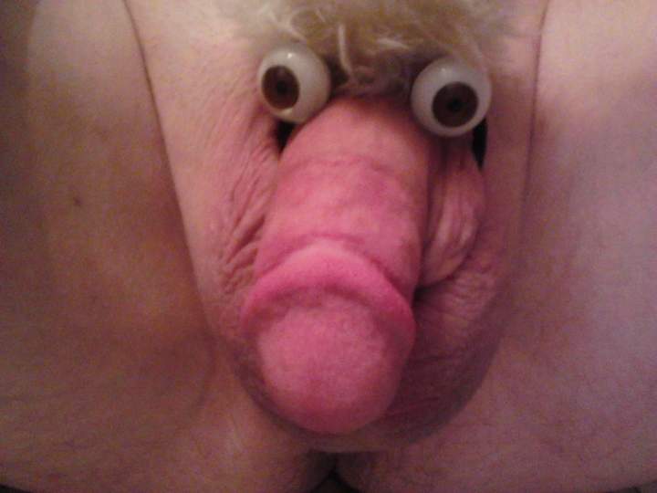 Adult image from fish4free