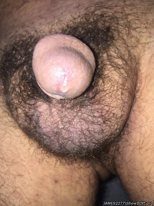 Adult image from JAMES2277