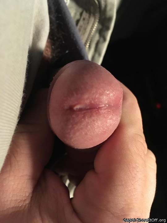 Adult image from dapiol