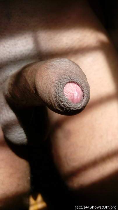 Adult image from jac114