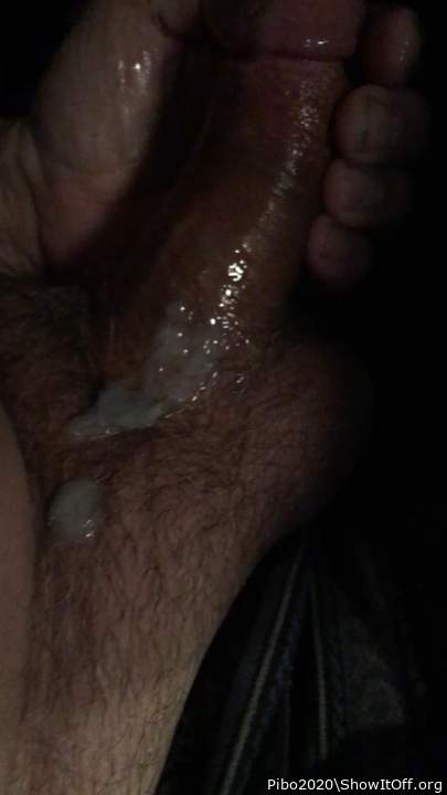 Adult image from Pibo2020