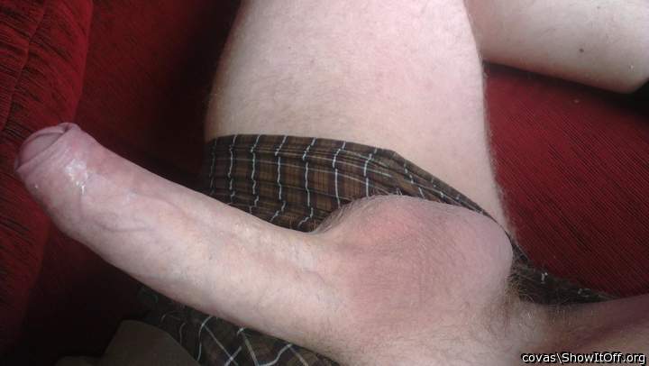 Adult image from covas