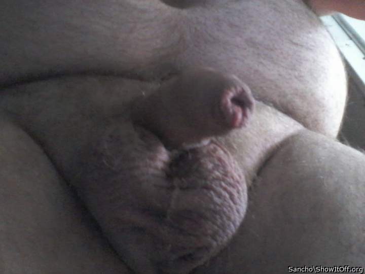 Adult image from Sancho