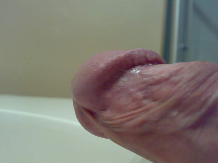 Adult image from roccotano