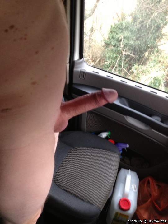 Adult image from protwin