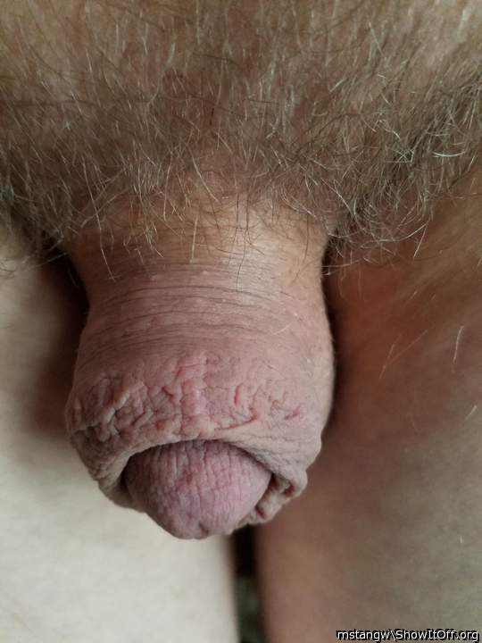 Gorgeous cock, love the pubes. Let�s wake him up