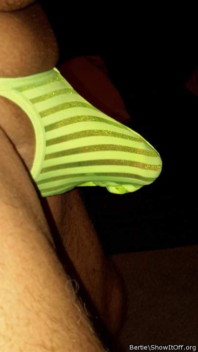 Adult image from Bertie
