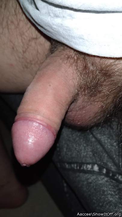 Adult image from Aaccee