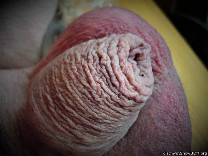 Adult image from dischwa