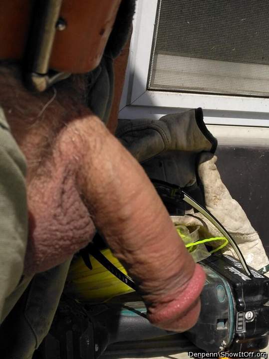 Adult image from Denpenn