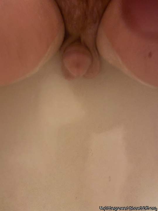 Adult image from Mylittlegrower