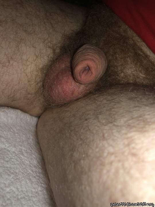 Adult image from peter79