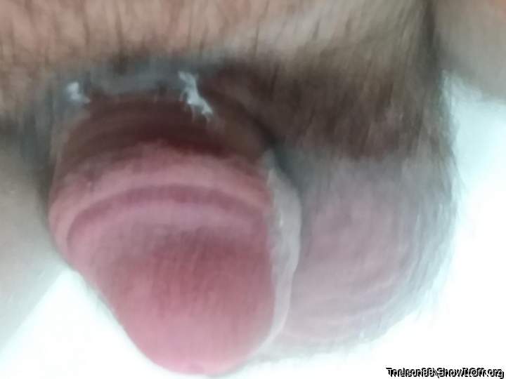 Adult image from Tnelson88