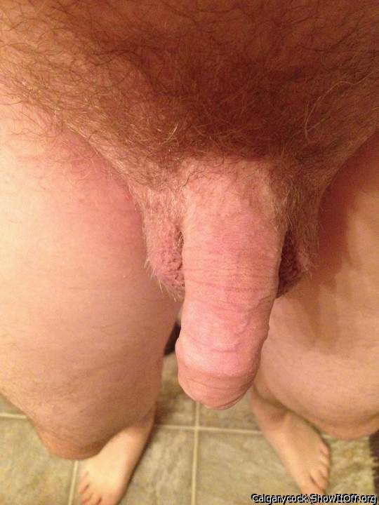 Adult image from Calgarycock