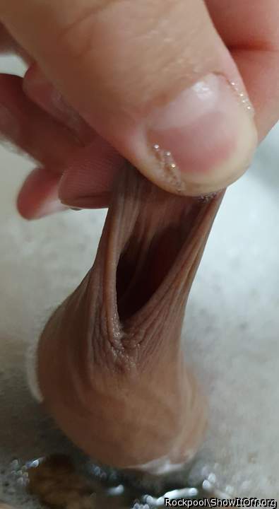 Adult image from Rockpool