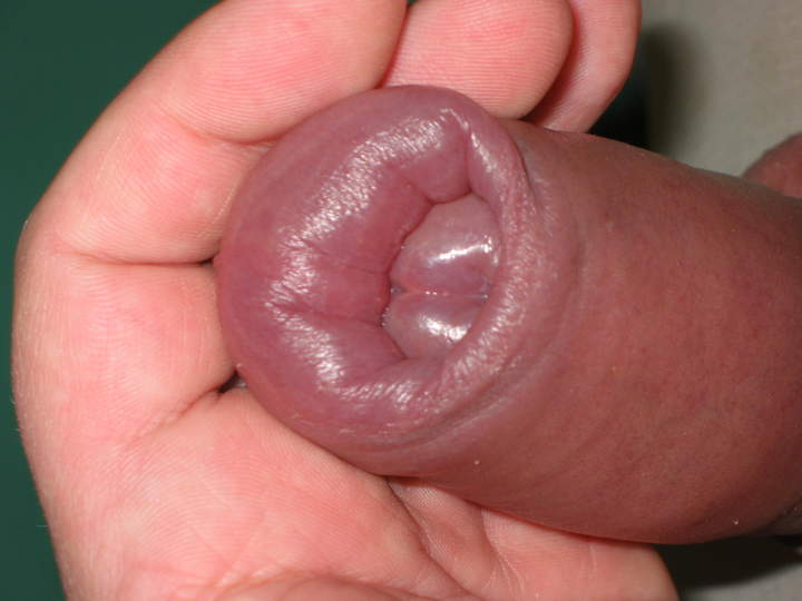 Adult image from nylonlover