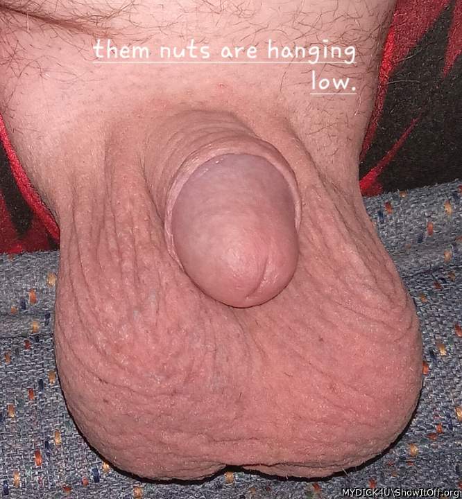 Adult image from MYDICK4U