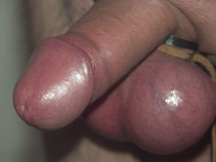 Adult image from man19