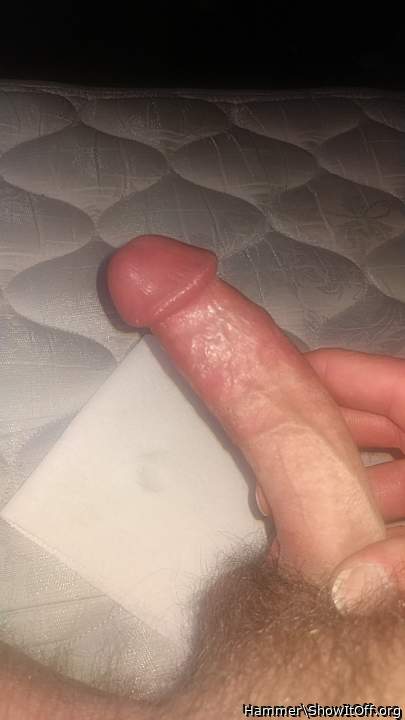 I'd love to suck your hot hard cock 